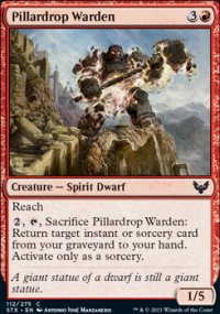 Pillardrop Warden - 