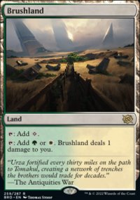 Brushland 1 - The Brothers War