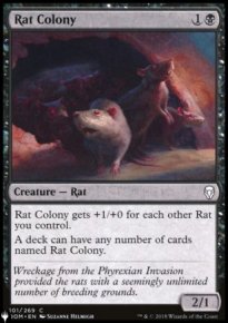 Rat Colony - 