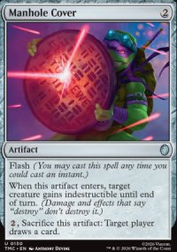 Manhole Cover - Teenage Mutant Ninja Turtles Eternal Legal