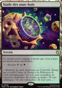 Stade des sous-bois - Teenage Mutant Ninja Turtles Eternal Legal