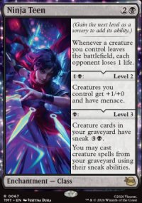 Ninja Teen - Teenage Mutant Ninja Turtles