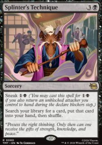 Splinter's Technique - Teenage Mutant Ninja Turtles