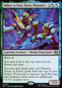 Mikey & Don, Party Planners - Teenage Mutant Ninja Turtles