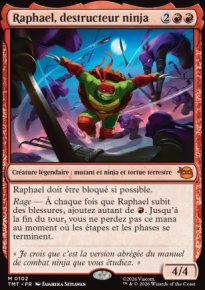 Raphael, destructeur ninja - Teenage Mutant Ninja Turtles
