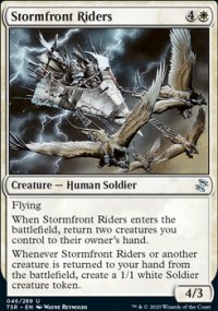 Stormfront Riders - 