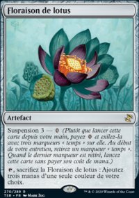 Floraison de lotus - 