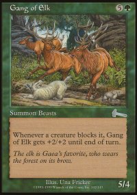 Gang of Elk - 