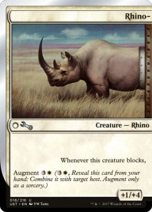 Rhino- - 