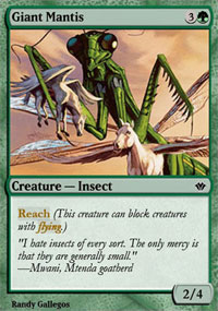 Giant Mantis - 