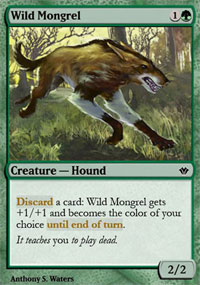 Wild Mongrel - 