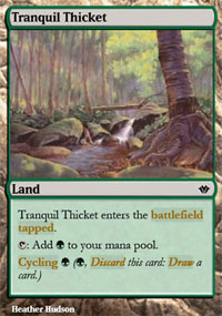 Tranquil Thicket - 