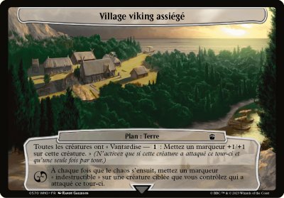 Village viking assig - 
