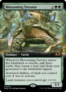 Blossoming Tortoise - 