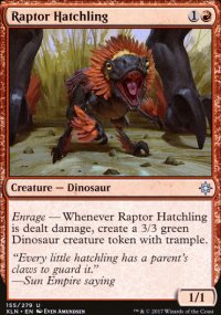 Raptor Hatchling - 