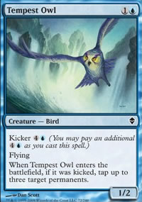 Tempest Owl - 