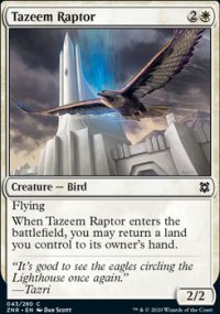Tazeem Raptor - 